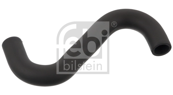 Hose, crankcase ventilation